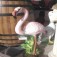 Flamingo Heykeli Beton