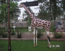 Zürafa Heykeli