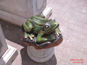 Kurbağa Maketi