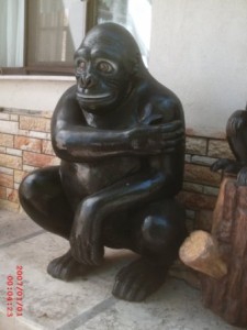 Orangutan Maketi