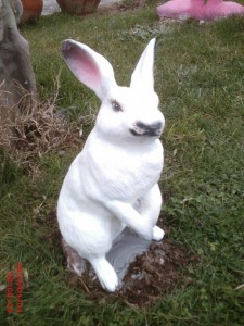 Uzun Kulaklu Tavşan Maketi