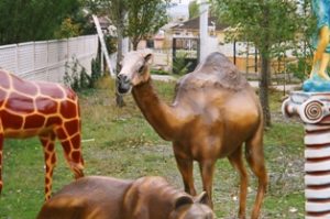 Camel Statues